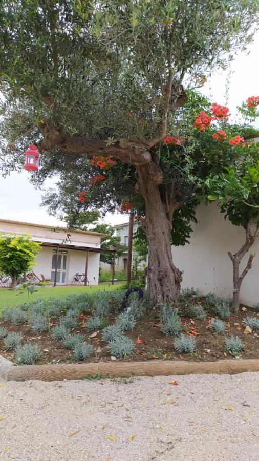 Villa Relais Il Giardino Fra Gli Ulivi Torino di Sangro Exterior foto