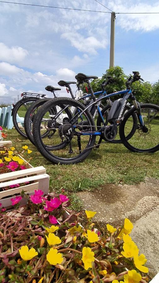 Villa Relais Il Giardino Fra Gli Ulivi Torino di Sangro Exterior foto