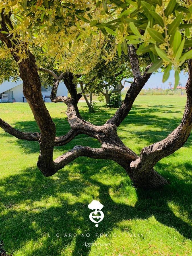 Villa Relais Il Giardino Fra Gli Ulivi Torino di Sangro Exterior foto