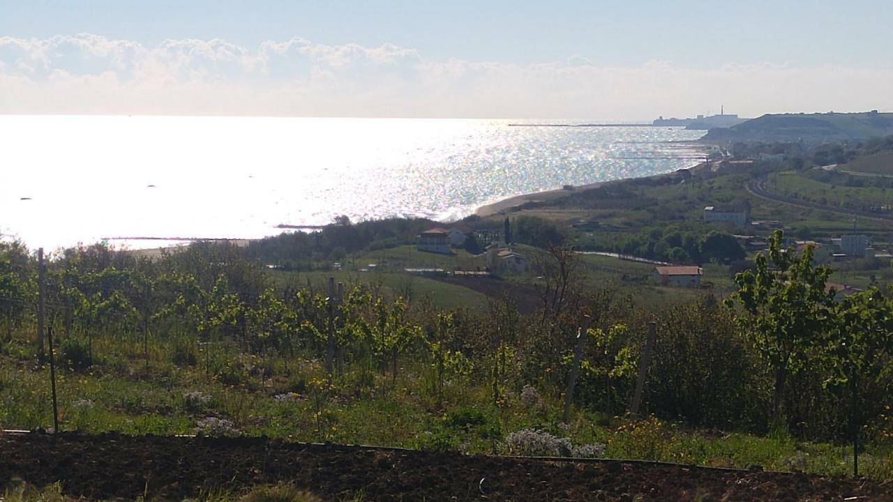 Villa Relais Il Giardino Fra Gli Ulivi Torino di Sangro Exterior foto