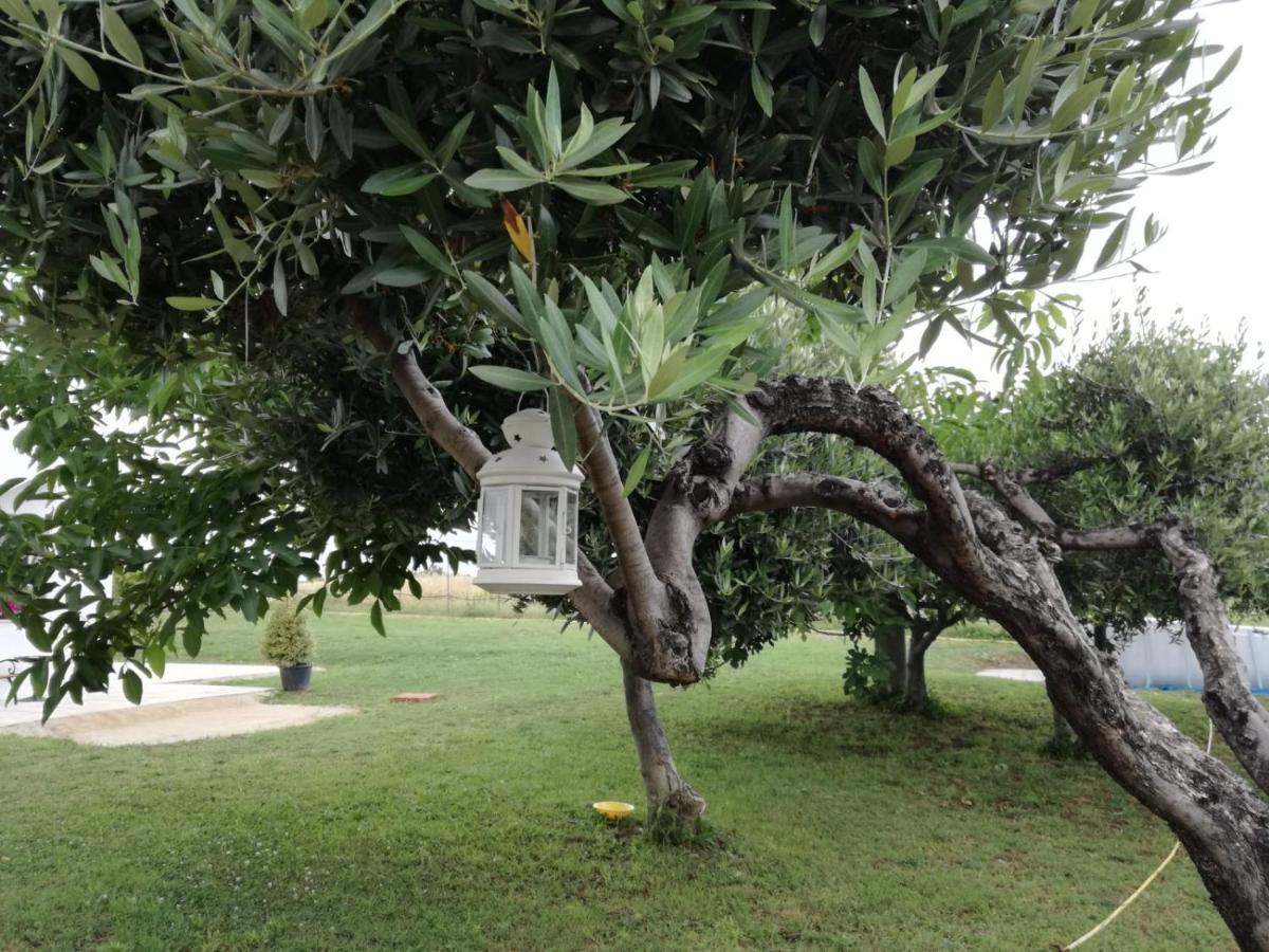 Villa Relais Il Giardino Fra Gli Ulivi Torino di Sangro Exterior foto